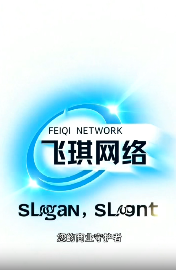 飞琪网络专注互联网服务商